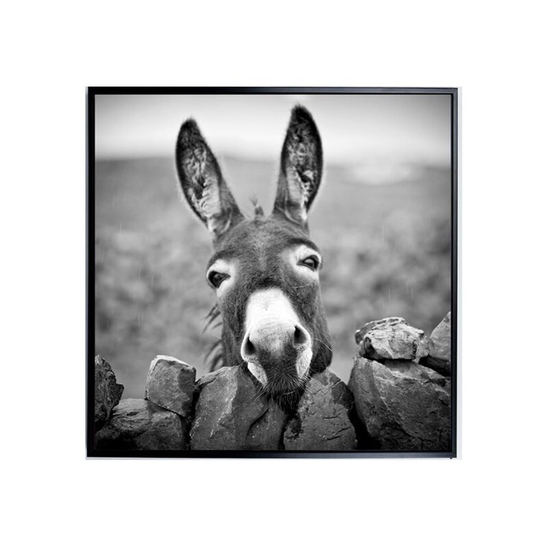 Framed Donkey Canvas Wall Art 100cm Buy Posters, Paintings & Prints 890977