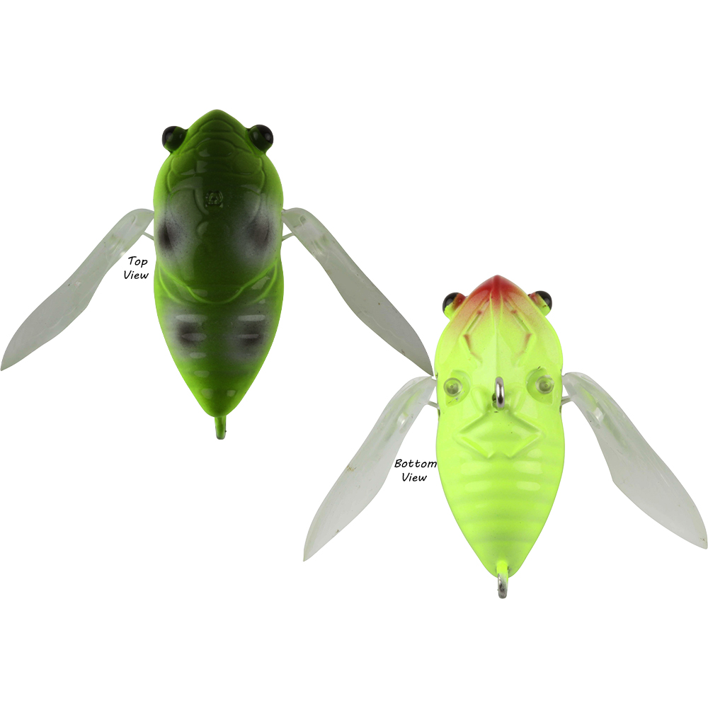 Image 5