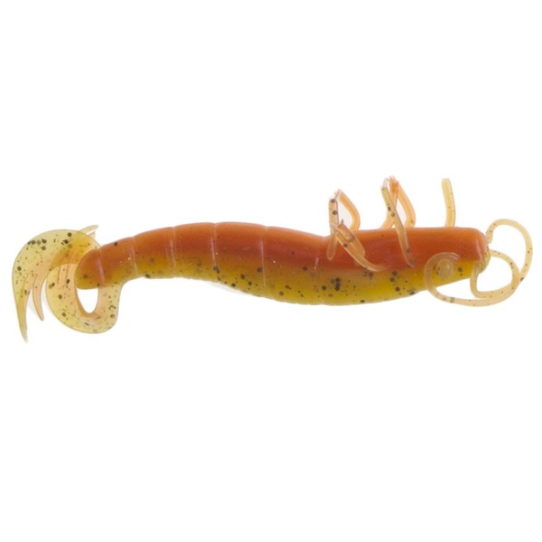 Image 11