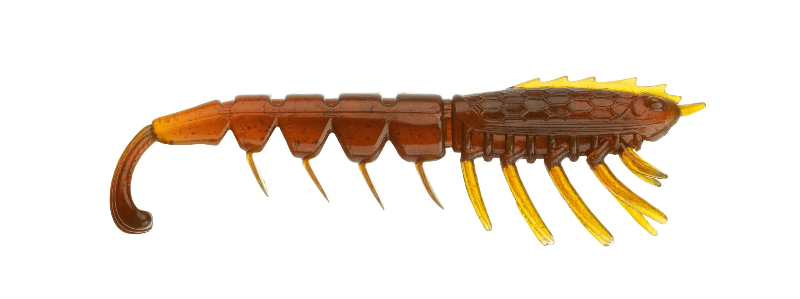 Image 6