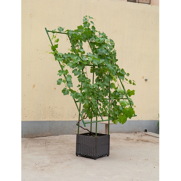 Image 18