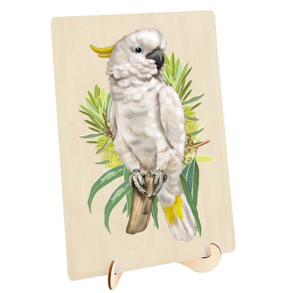 Image 2
