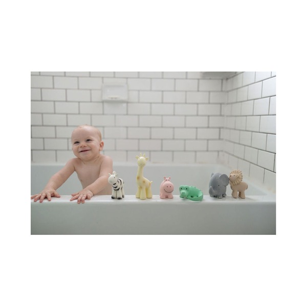Image 6