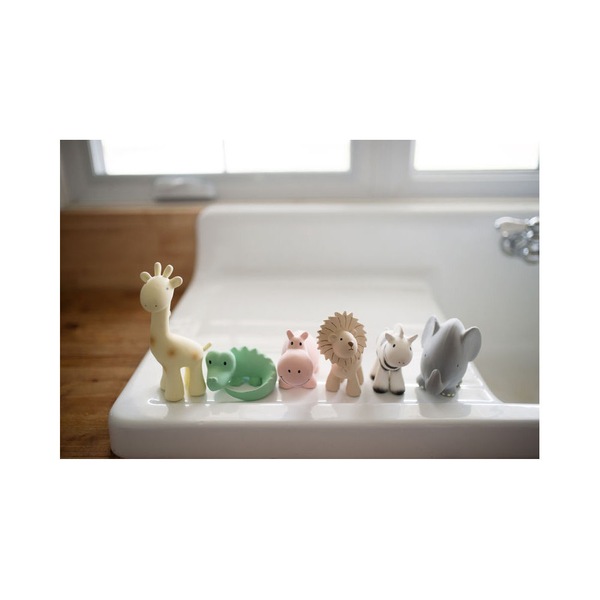Image 7