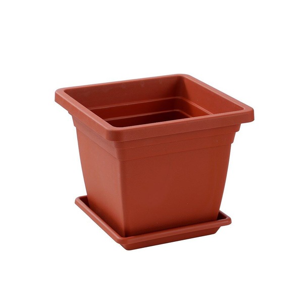 Image 8