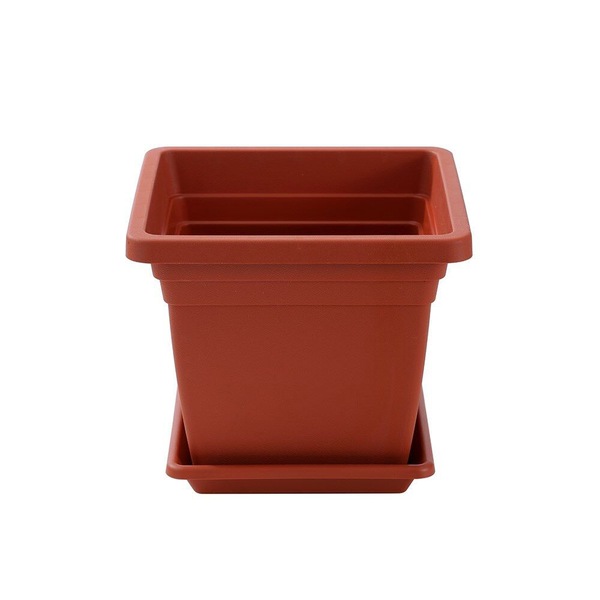 Image 9