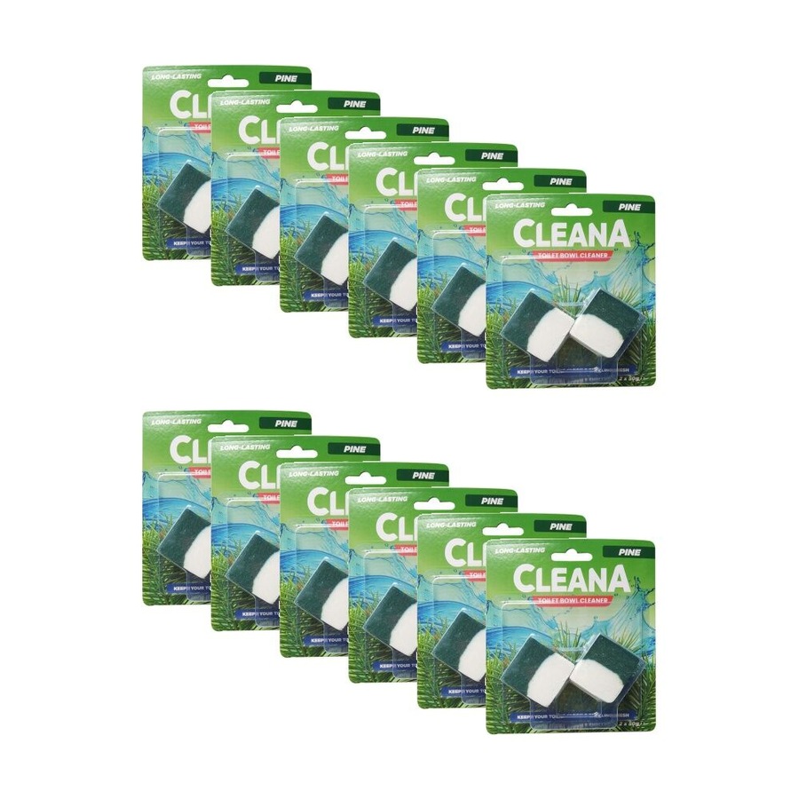 12x 2pc Cleana Toilet Bowl Cleaning Cubes Odor Remover 50g Ocean/Pine Assorted
