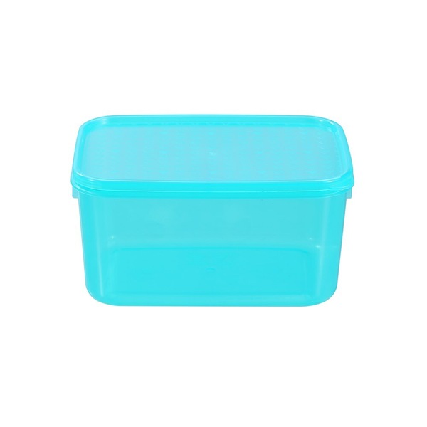 Buy 12pc Lemon & Lime 2L Simple Fresh Food Storage Reusable Container ...