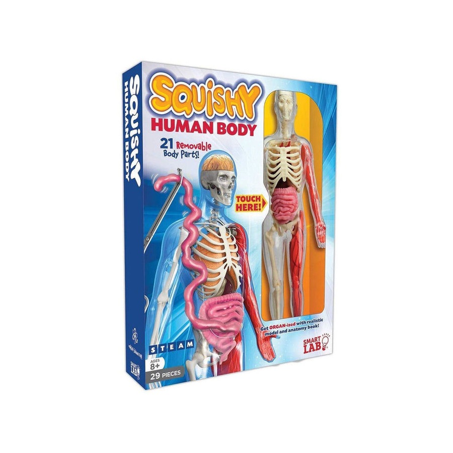 29pc Smart Lab Squishy Human Body Educational Kit 21 Removable Parts 8y+