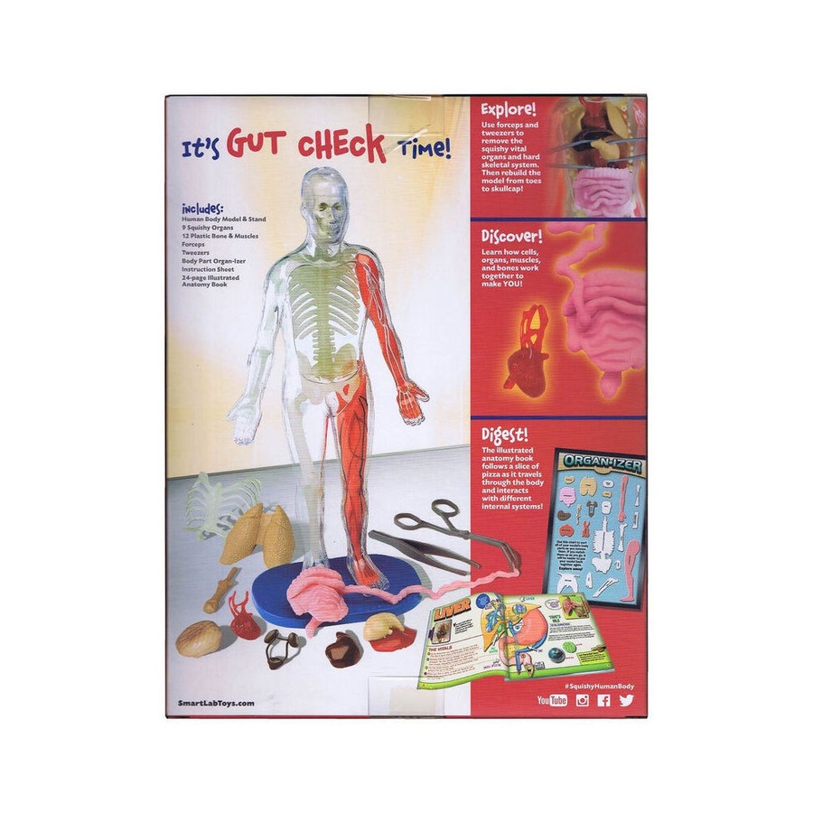29pc Smart Lab Squishy Human Body Educational Kit 21 Removable Parts 8y+