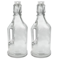 2PK Lemon & Lime 350ml Jar/Jug Drink Container w/ Clip Lock Lid Glass Bottle CLR