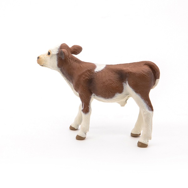 Image 8