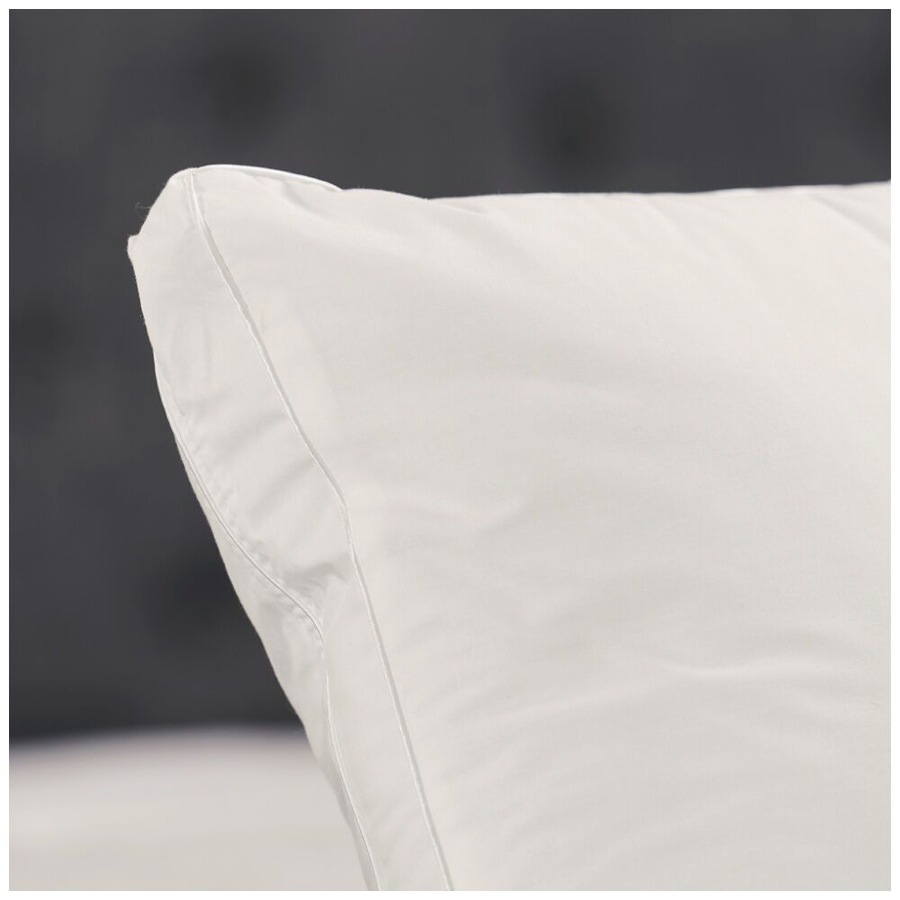 2PK Tontine Classic Comfort Allergy & Asthma Sensitive Pillow Medium Standard