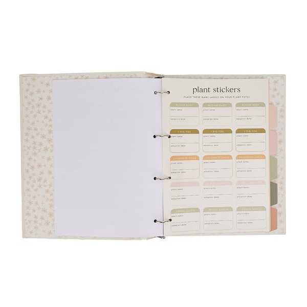 Image 7
