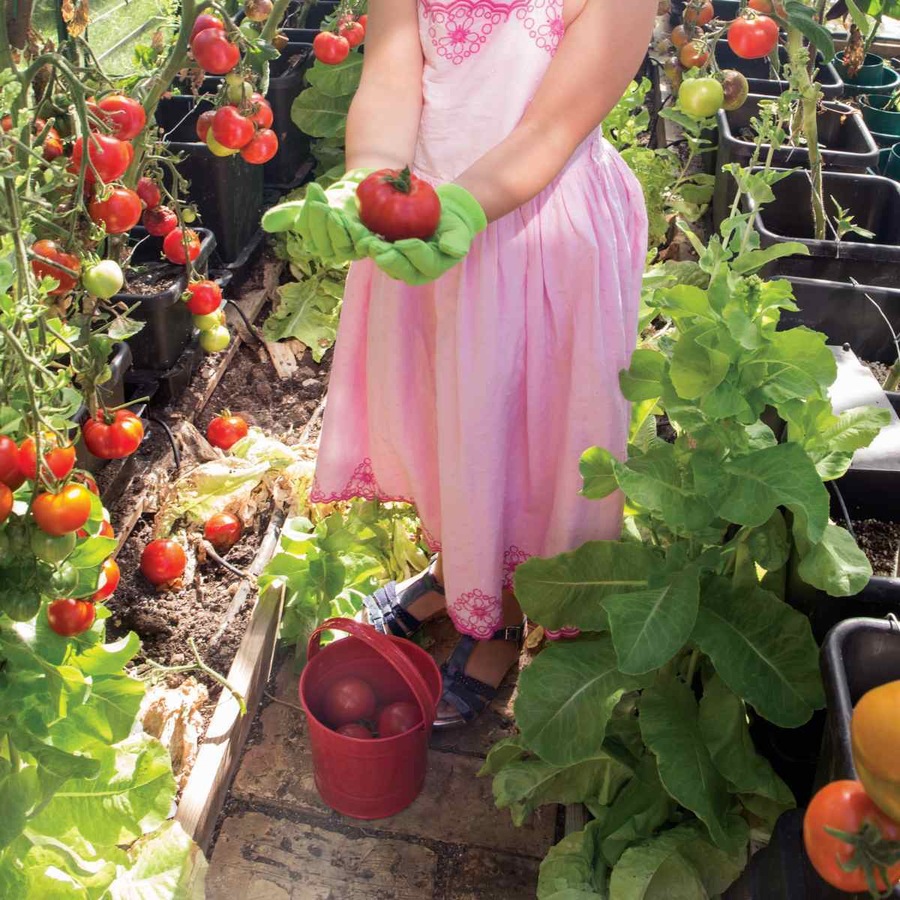 2x Bigjigs Toys 16.5cm Round Metal Bucket Kids/Children Outdoor Play Toy Red 3y+