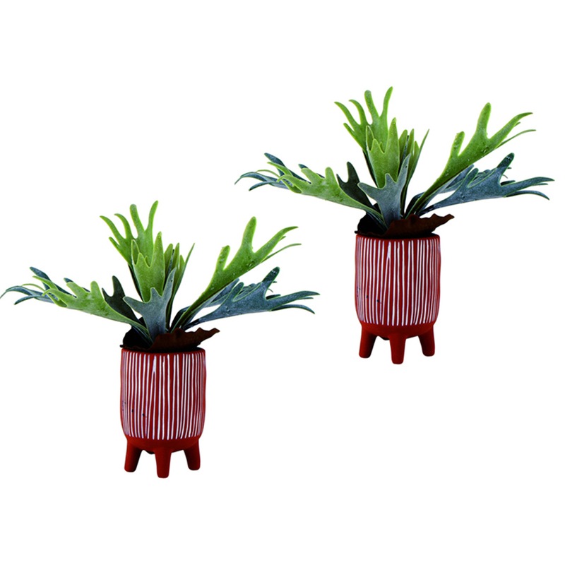 Buy 2x Maine & Crawford Staghorn 19x14cm Ceramic Plant Pot Home Decor w