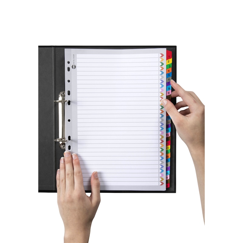 Buy 2x Marbig 1-31 Tab Coloured A4 Ring Binder Plastic Divider File ...
