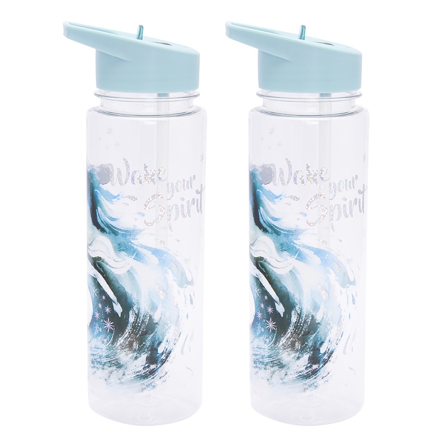 2x Paladone 650ml Frozen 2 Water Bottle Kids/Children Drinking Travel Tumbler