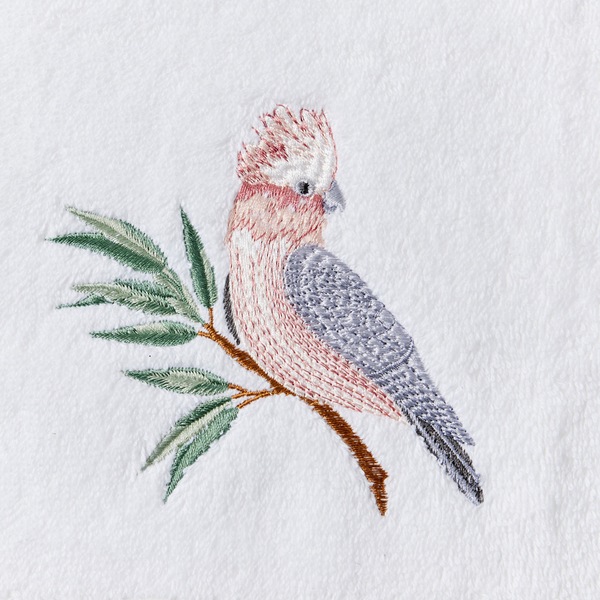 Image 3