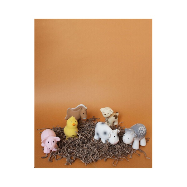 Image 8