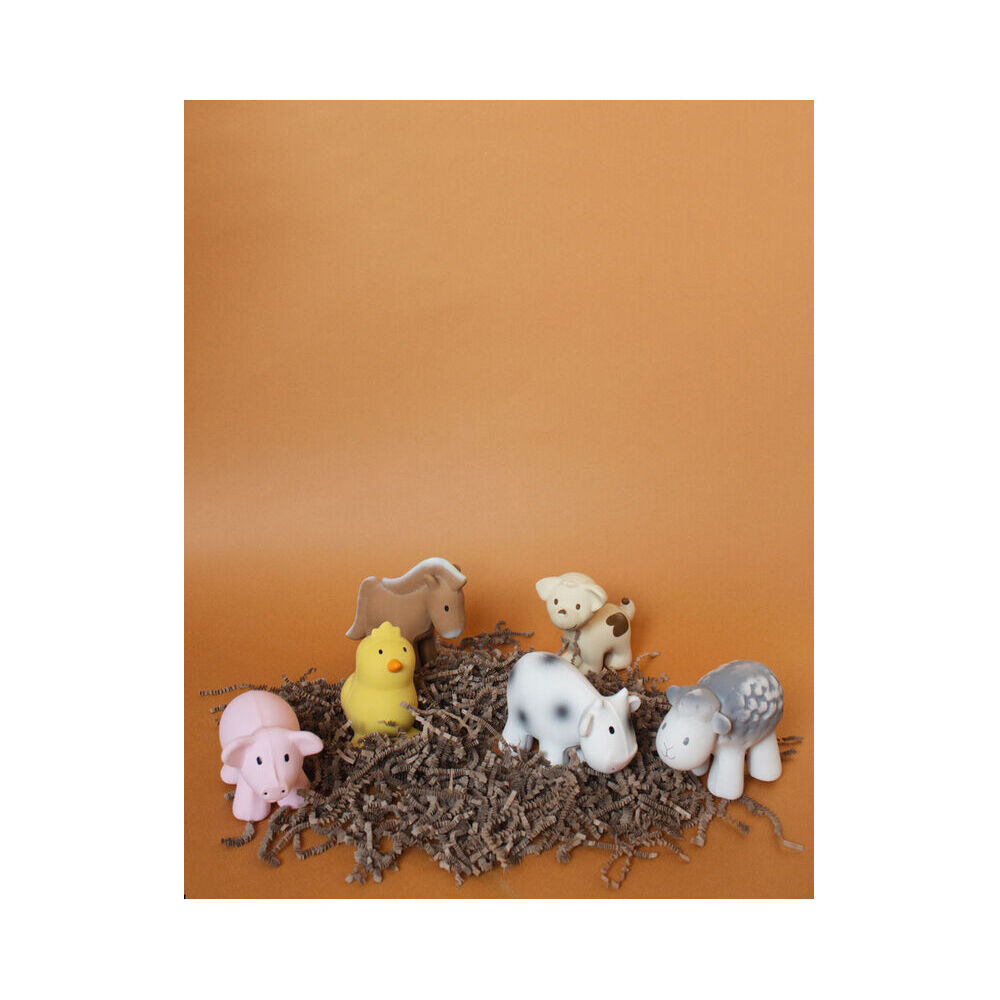 Image 8