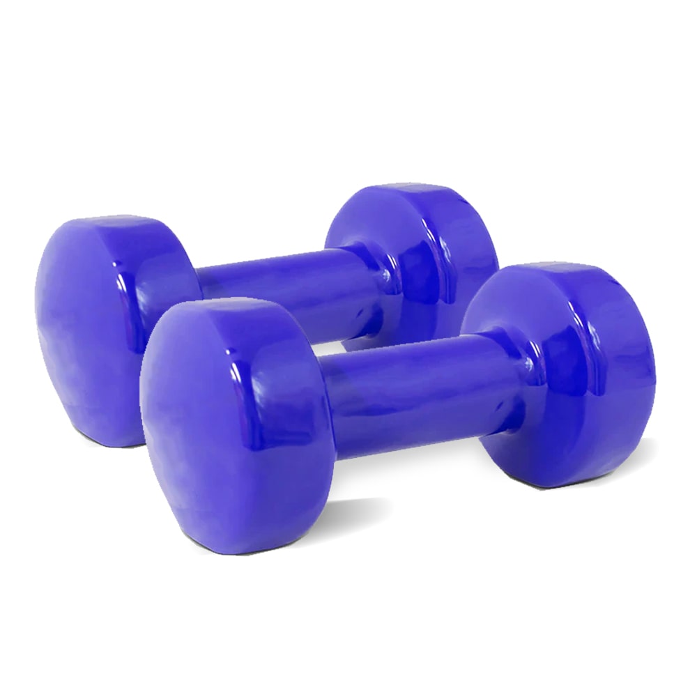 2x Vinyl Dipped Weighted Dumbbell 4kg Home Gym Training Workout Fitness Set Australia