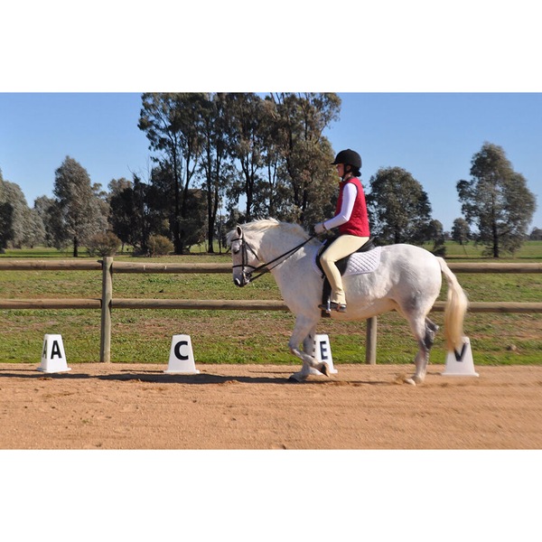 Buy 36pc AgBoss Dressage Arena Marker Letters 'AFPBRMCHSEVK' Set 25cm ...