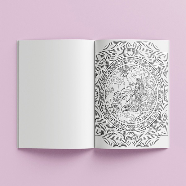 Image 3