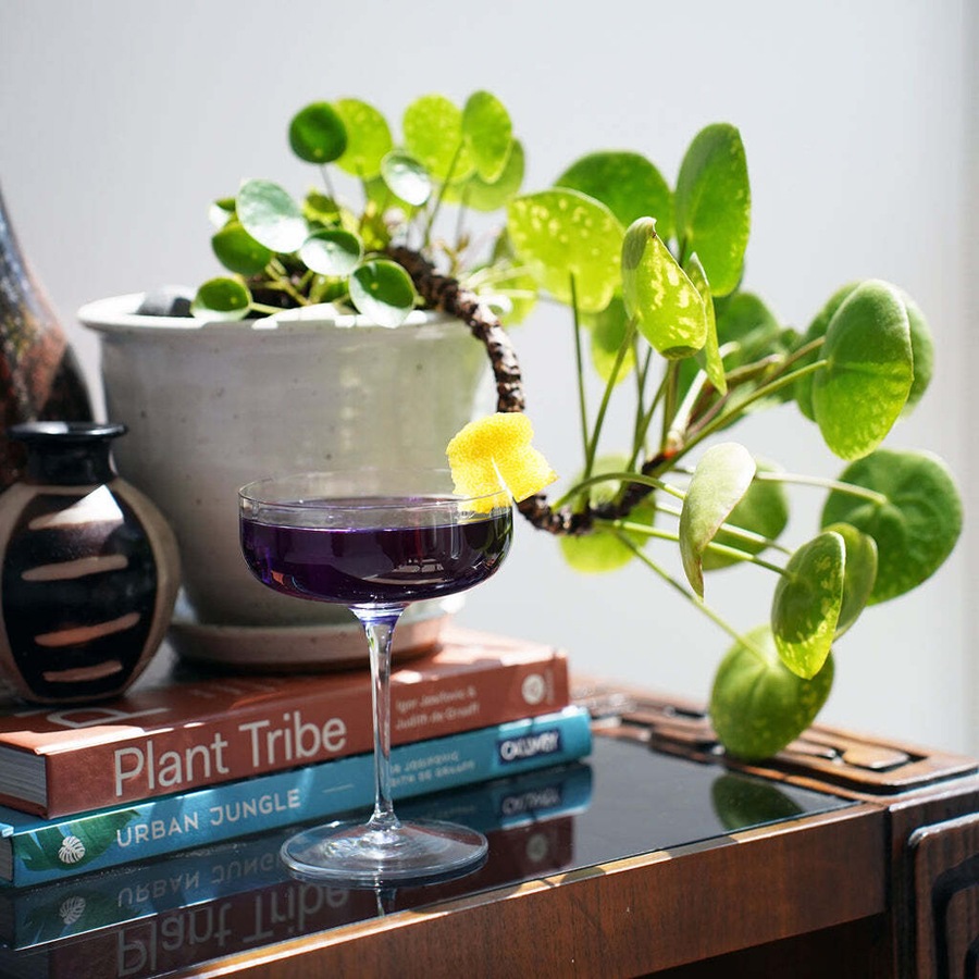 4pc Luigi Bormioli Jazz 300ml Cocktail Coupe Glasses Set Drink Stemware Clear