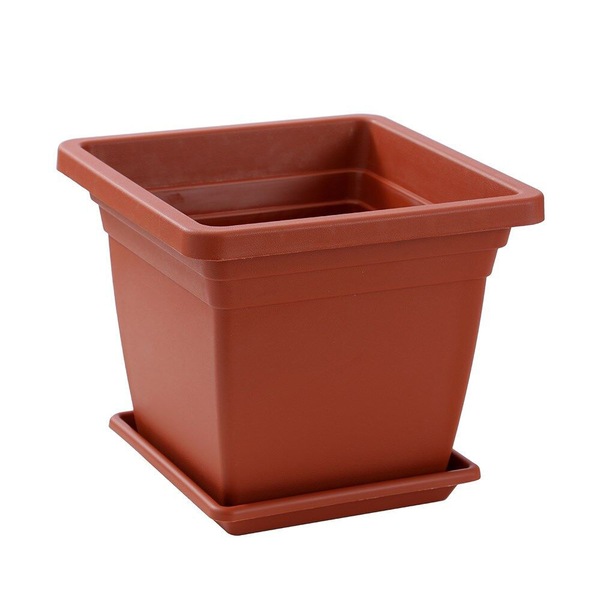 Image 8