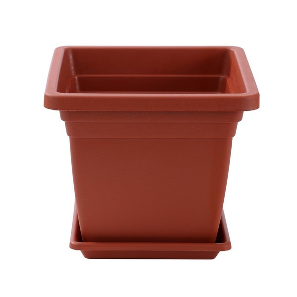 Image 9