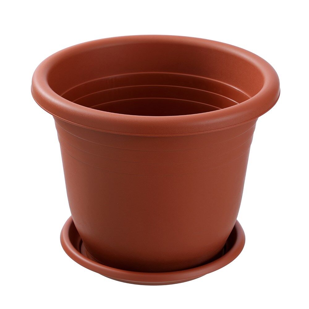 Image 8