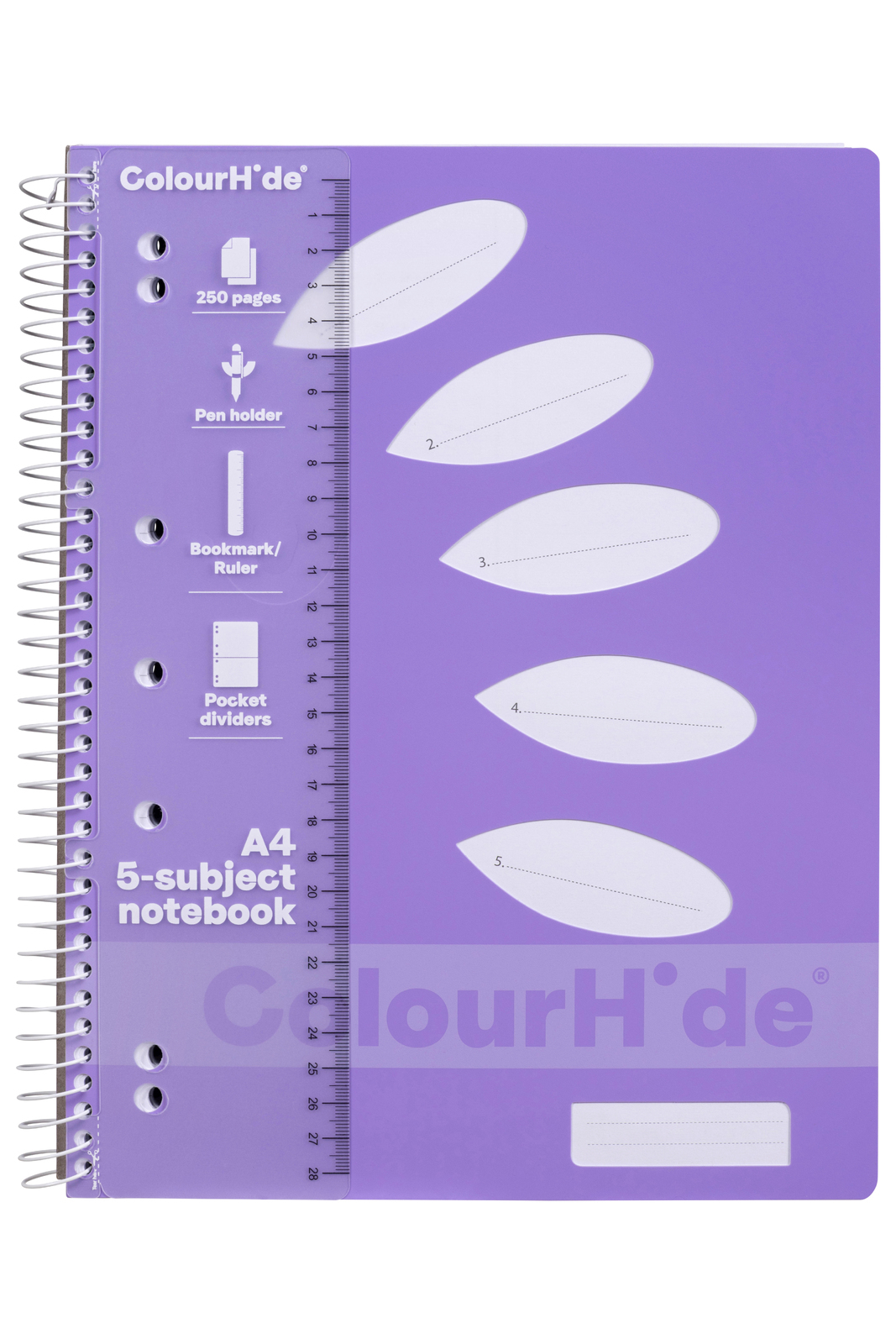 Image 2