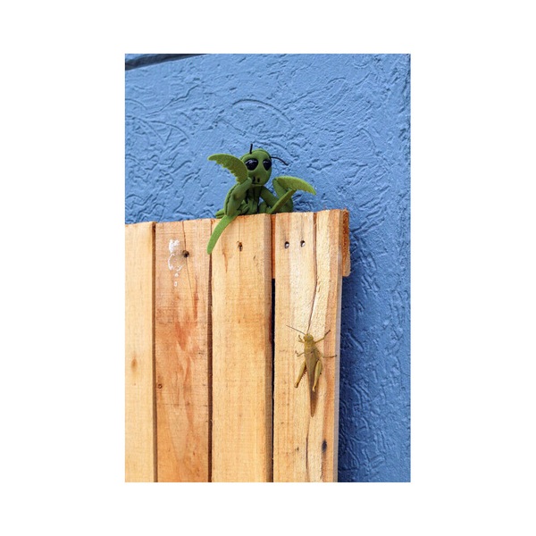 Image 3