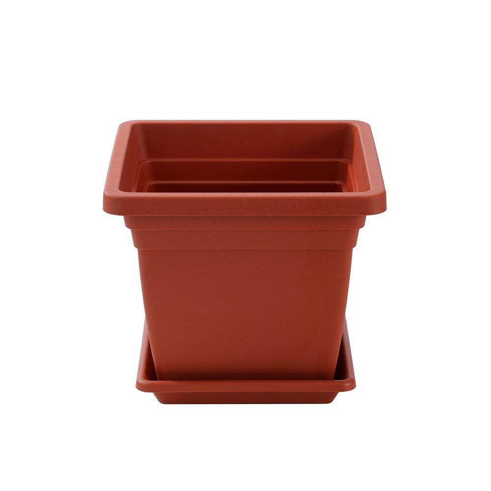 Image 9