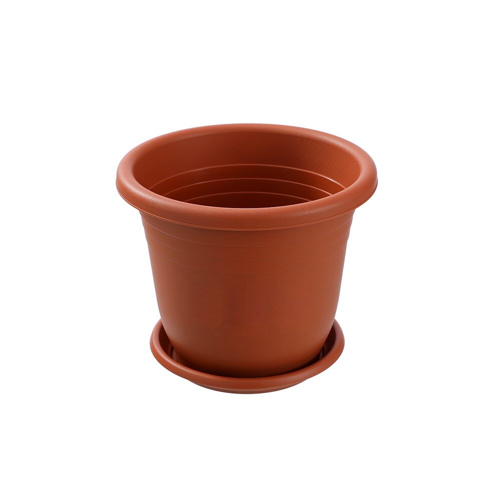 Image 8