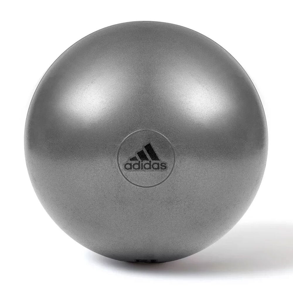 Adidas Gym Ball 55cm Fitness/Exercise Pilates Fit Yoga Swiss Ball w/ Pump Grey