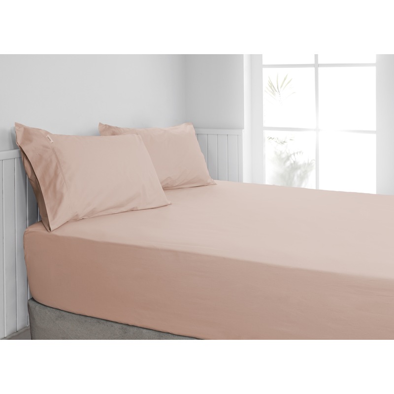 Buy Ardor 300TC Cotton King Single Bed Size Fitted Sheet Combo Set w