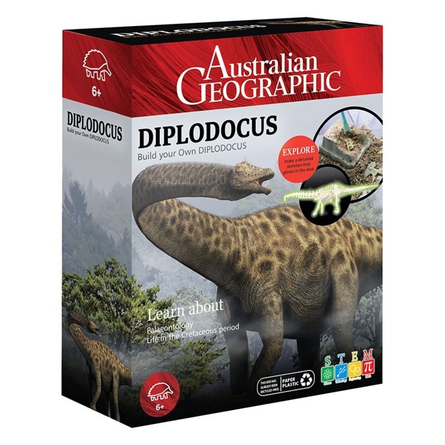 Buy Australian Geographic Diplodocus Building Dinosaur Kit Kids ...
