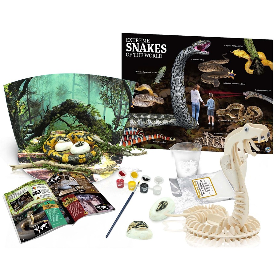 Buy Australian Geographic Extreme Snakes of the World Kids Activity ...