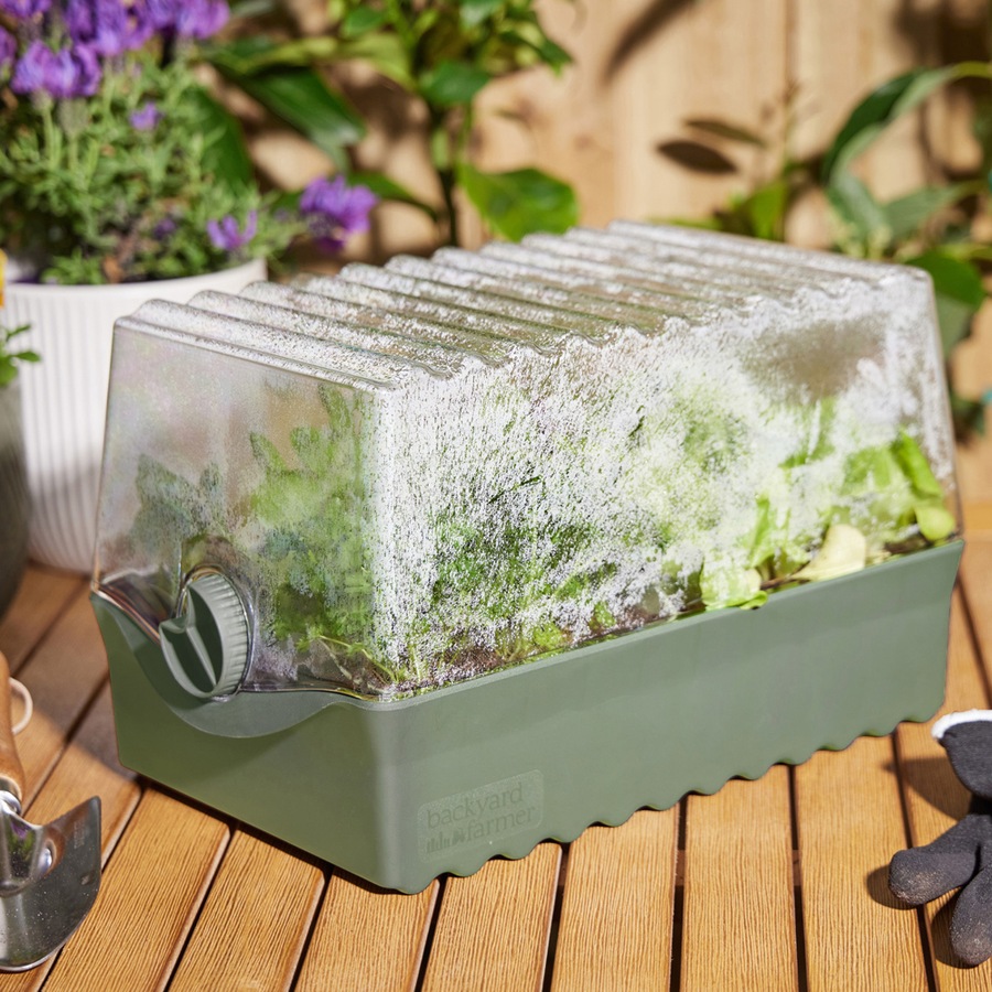 Backyard Farmer Flori Outdoor Backyard Seed/Seedling Propagation Kit Green