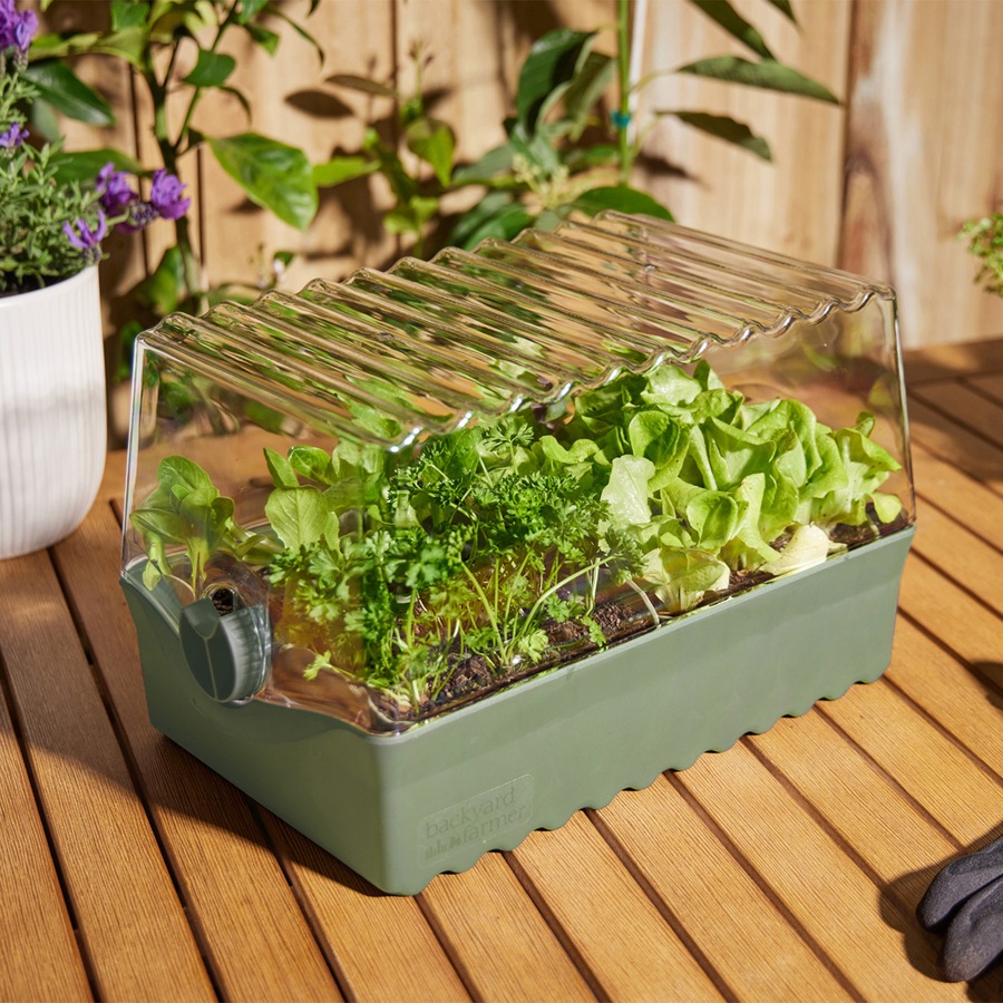 Backyard Farmer Flori Outdoor Backyard Seed/Seedling Propagation Kit Green