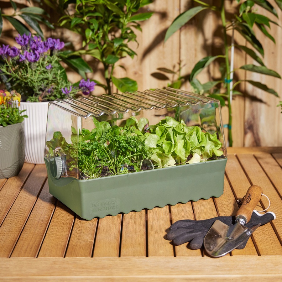 Backyard Farmer Flori Outdoor Backyard Seed/Seedling Propagation Kit Green