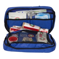 Blue Emergency First Aid Kit Treatment Car/Travel Compact Medical Survival