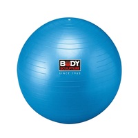 Body Sculpture Gym 65cm Ball Anti-Burst Fitness Training/Workout Sports Exercise