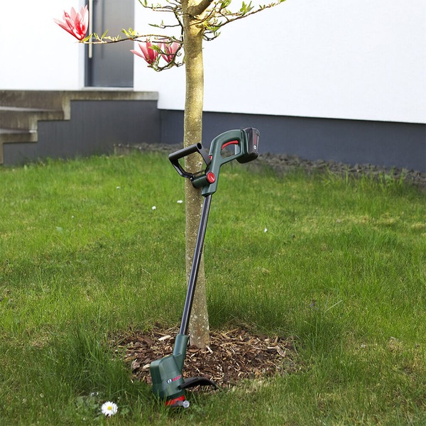 Image 10
