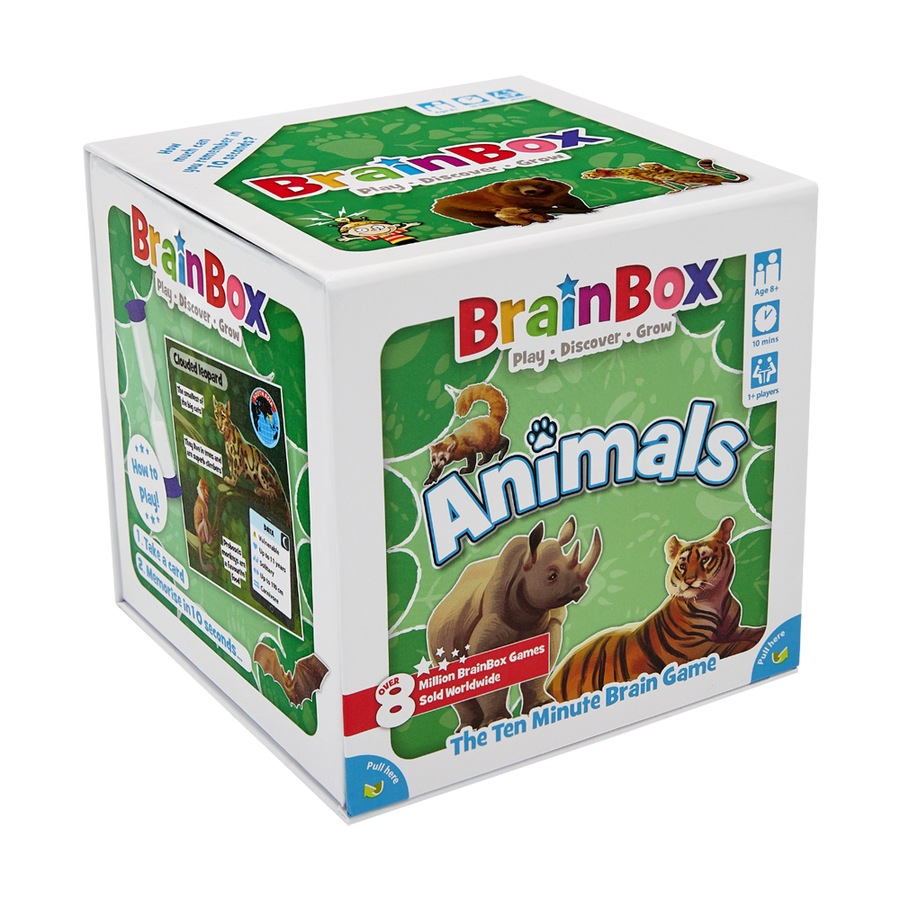 Buy Brainbox Animals Educational Memory Brain Learning Card Game Kids ...