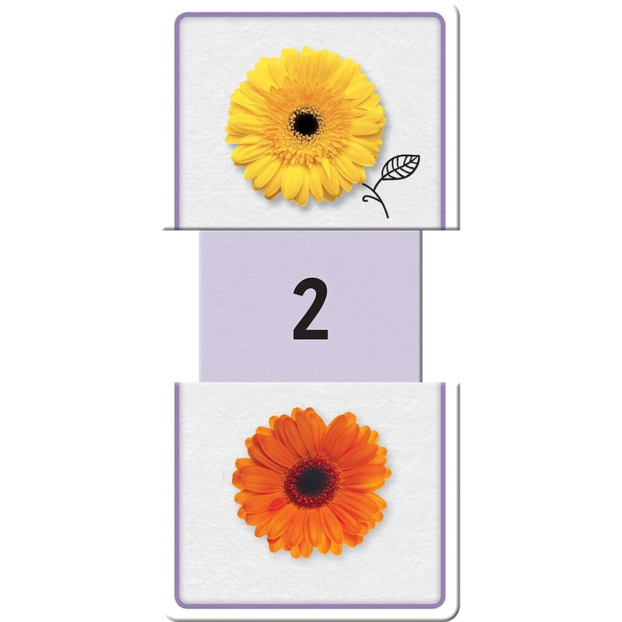 Buy Building Blocks Slide & Learn Educational Flashcards Numbers ...