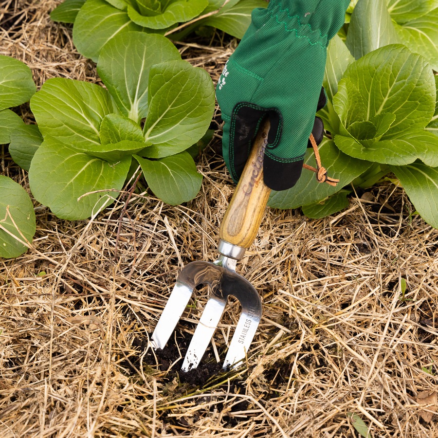 Cyclone Hand Fork Stainless Steel Home Outdoor Garden Bed Maintenance/Care