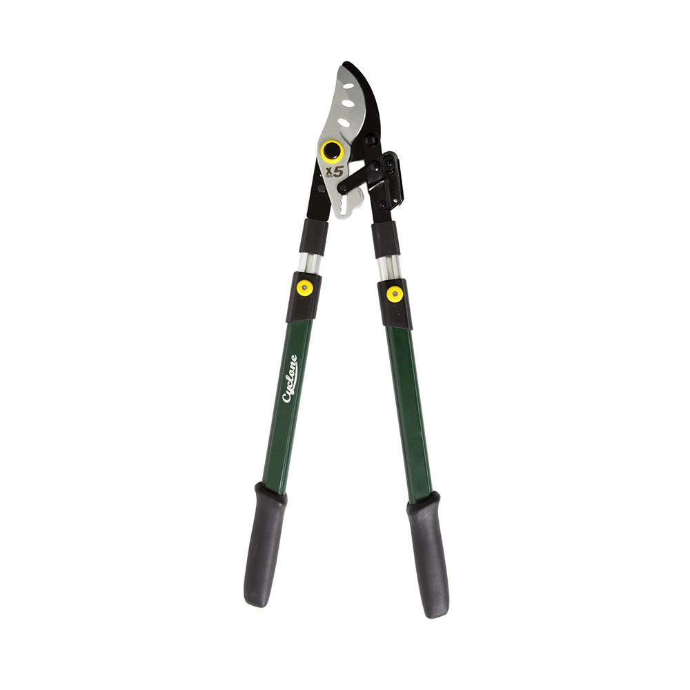 Cyclone Ratchet Telescopic Bypass Lopper Plant/Flowers Cutting/Gardening Australia